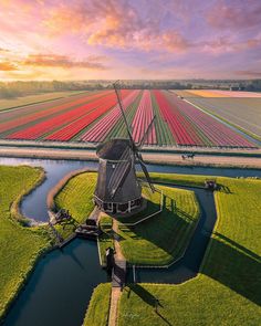 Netherlands Windmill Landscape