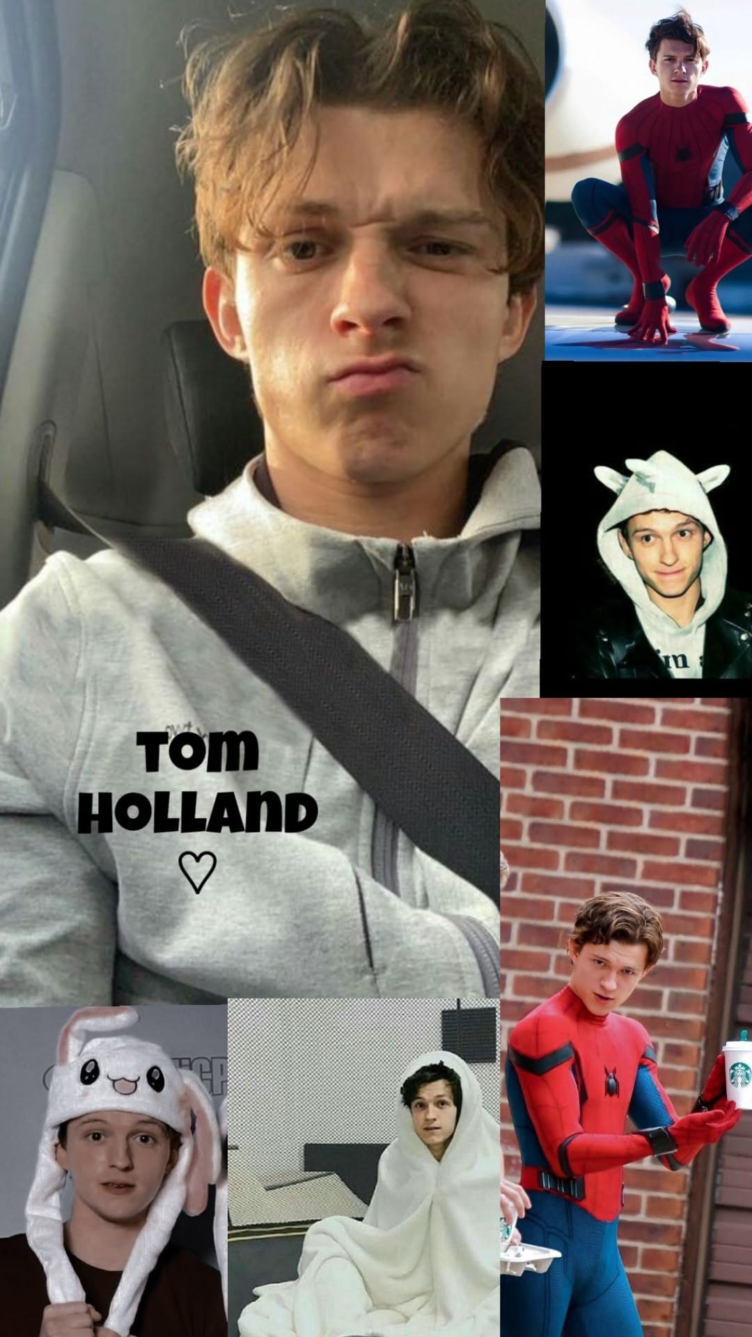 Tom Holland Flag