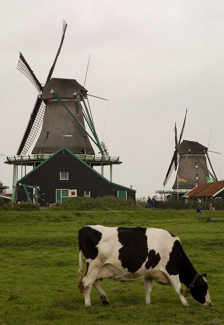 Netherlands Windmill Scenery
